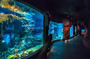 Afrykanarium we Wrocławiu