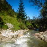 Rezerwat Przyrody Biała Woda w Jaworkach