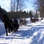 Kulig w rezerwacie Biała Woda